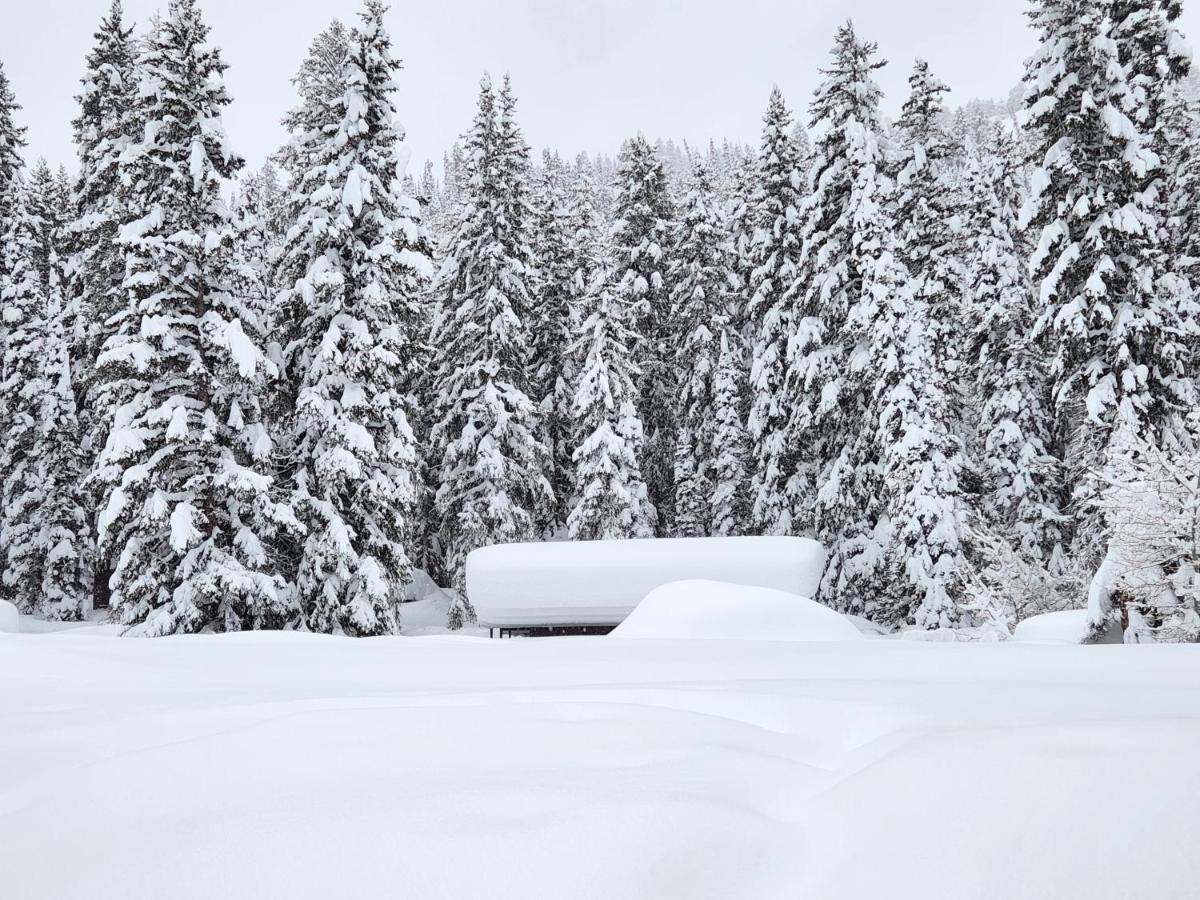 Stunning At Solitude, Steps From Chair Lift, East #103 Brighton Eksteriør billede